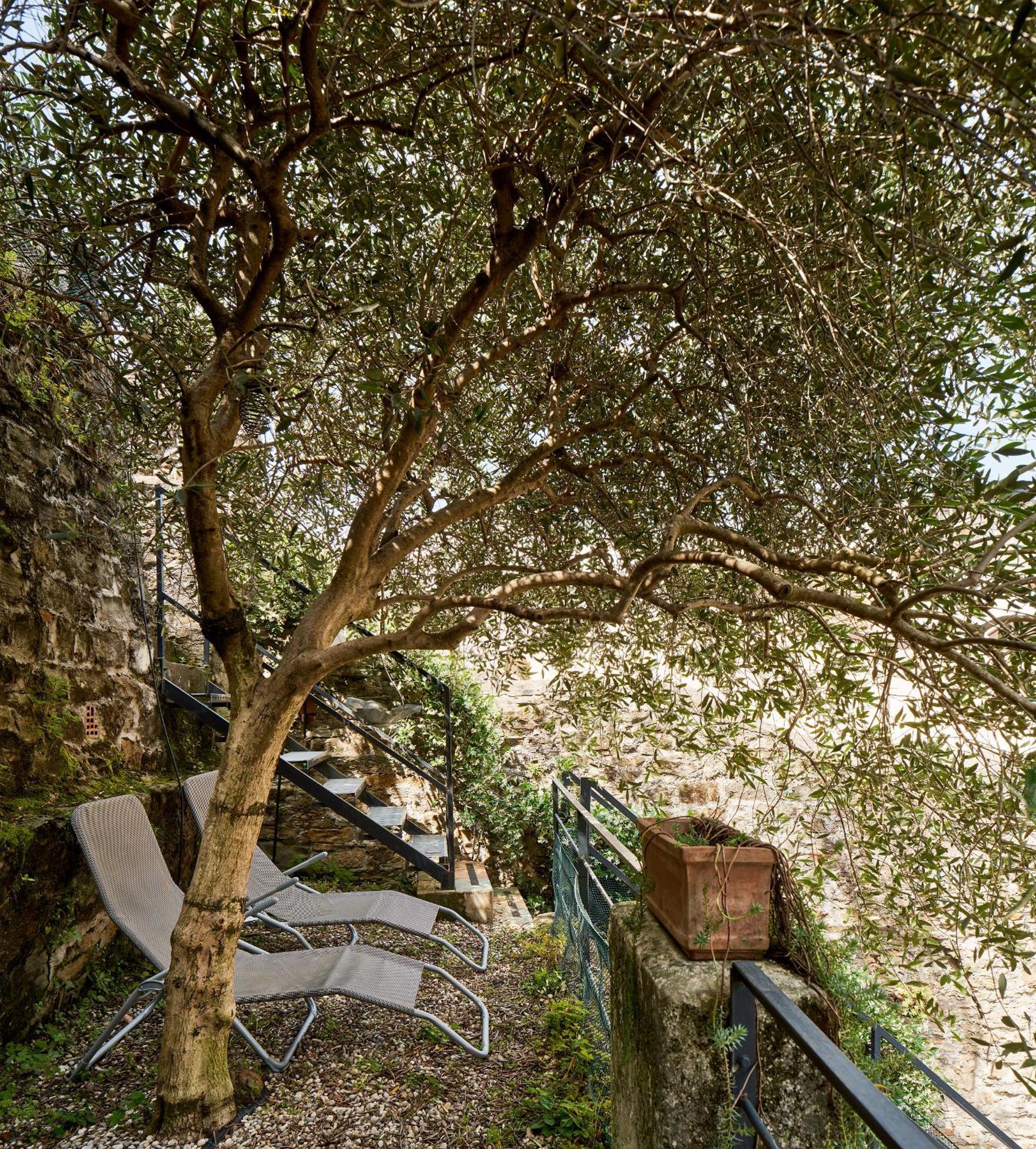 Giardino Segreto, In Centro Trieste Exterior foto